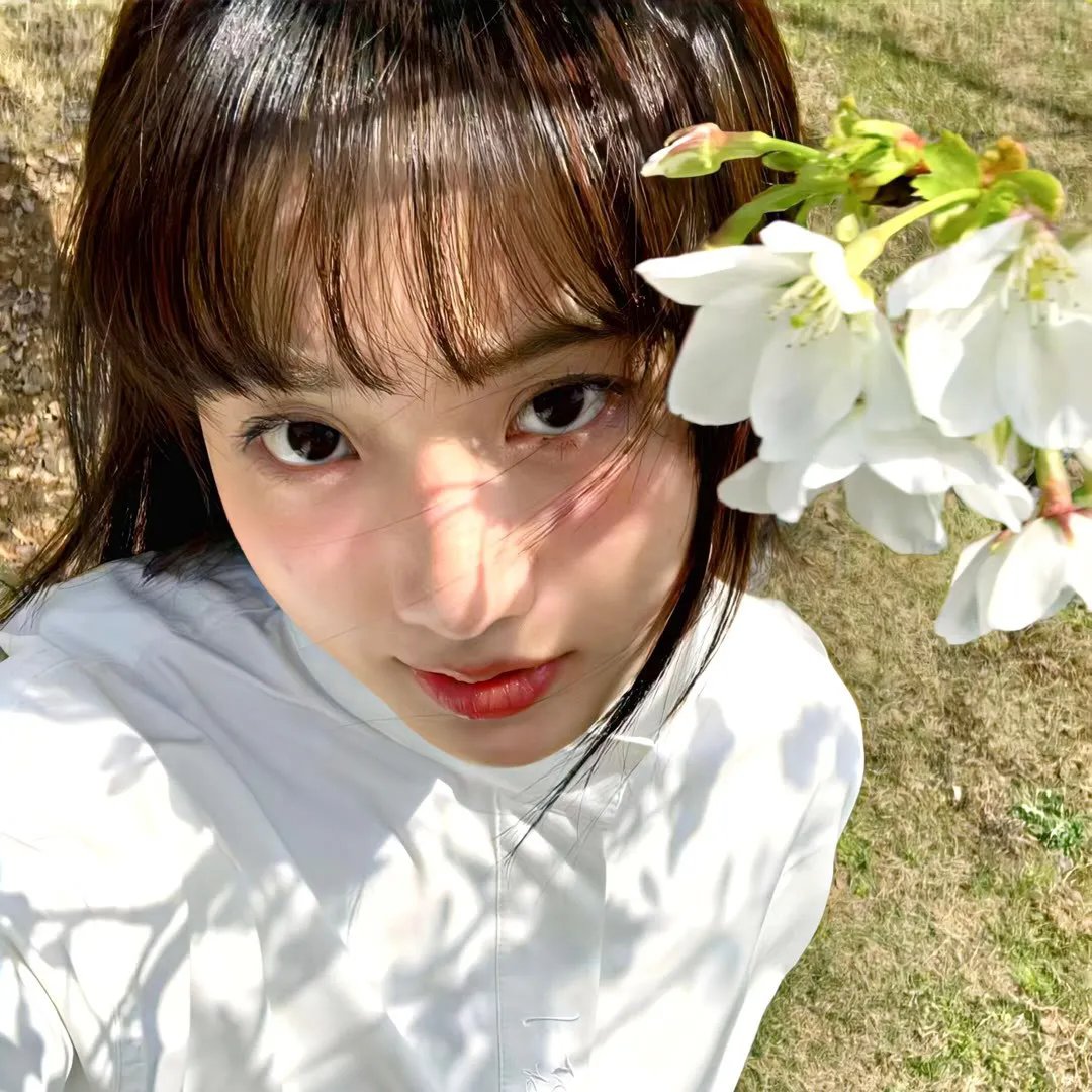 马莲花开